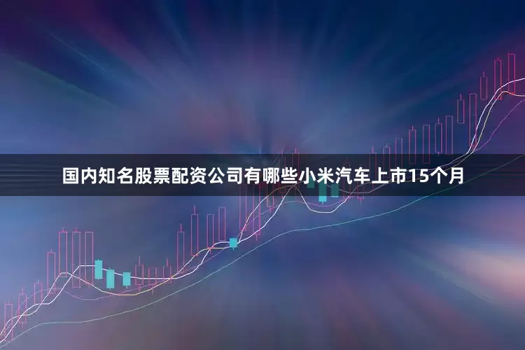 国内知名股票配资公司有哪些小米汽车上市15个月