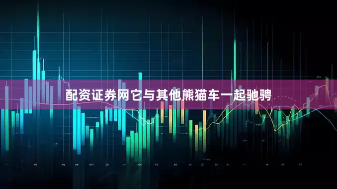 配资证券网它与其他熊猫车一起驰骋