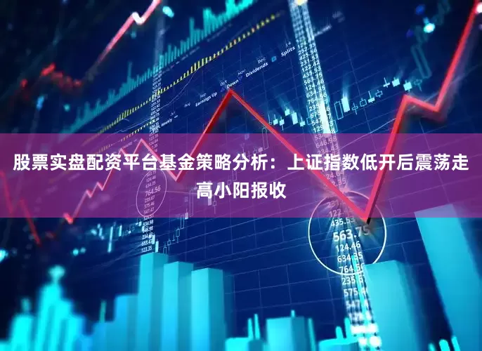 股票实盘配资平台基金策略分析：上证指数低开后震荡走高小阳报收