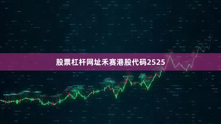 股票杠杆网址禾赛港股代码2525