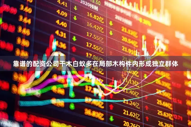 靠谱的配资公司干木白蚁多在局部木构件内形成独立群体